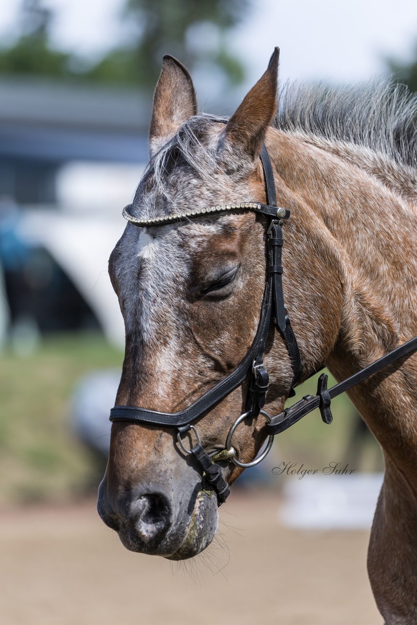 Bild 658 - Pony Akademie Turnier